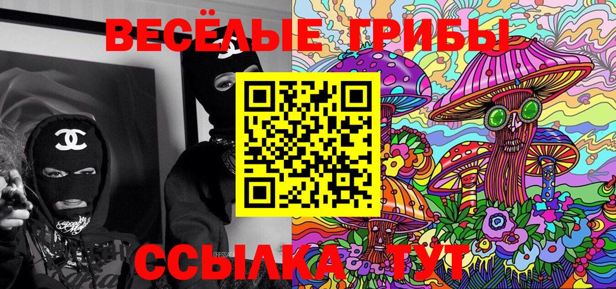Ивантеевка  наркотики  Вход с VPN  Псилоцибиновые грибы мухоморы  Галлюциногенные грибы мухоморы 