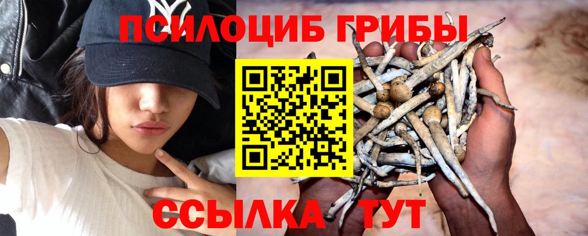 Галлюциногенные грибы прущие грибы Ивантеевка